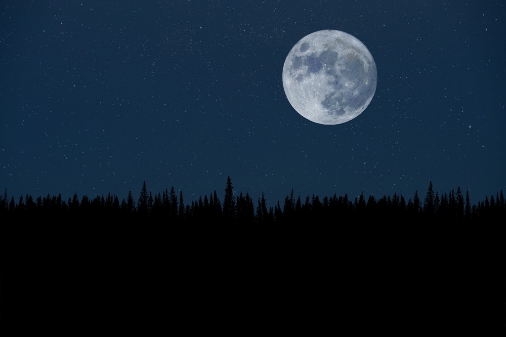 Bulan Super Di Atas Hutan Malam