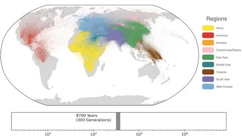 Sebuah gambar diam dari sebuah video yang diterbitkan oleh penulis penelitian menunjukkan perkiraan lokasi geografis nenek moyang manusia.