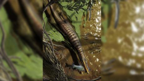 Ilustrasi Baryonyx walkeri, seekor spinosaurid dari Inggris, berburu dan memberi makan.