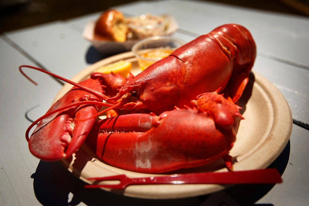 Harga lobster turun saat musim puncak musim panas mendekat