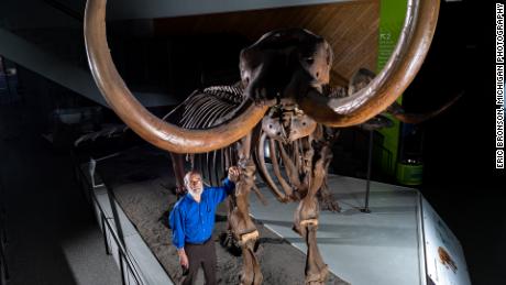 Ahli paleontologi Universitas Michigan Daniel Fisher berpose dengan kerangka komposit mastodon Buesching.
