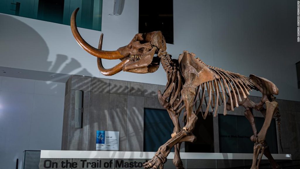 Taring Mastodon mengungkapkan pola migrasi di Amerika Utara
