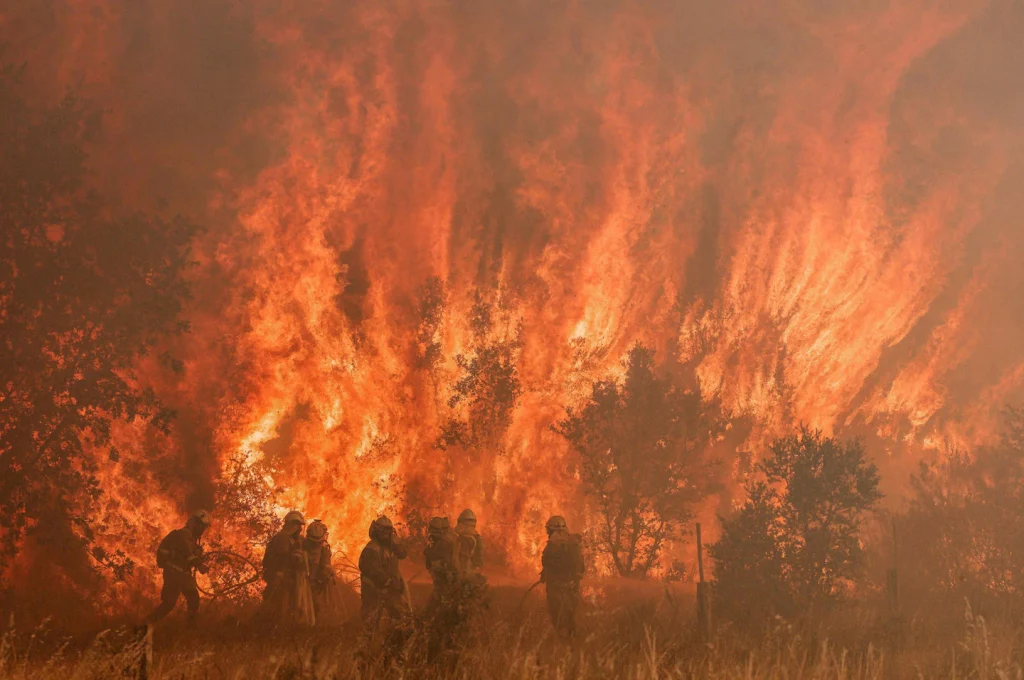 Kebakaran hutan melanda Spanyol di tengah rekor gelombang panas