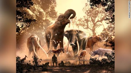 Gajah modern telah lolos dari perubahan iklim purba.  Tidak lebih dari 180 spesies lain, termasuk mastodon