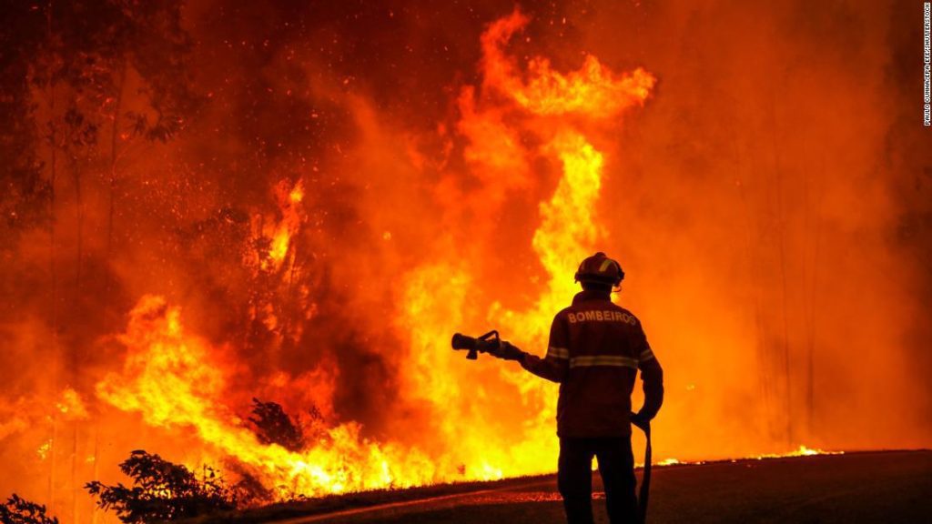 Gelombang panas di Eropa: Inggris mengalami hari terpanas ketiga, kebakaran hutan berkecamuk di Prancis dan Spanyol