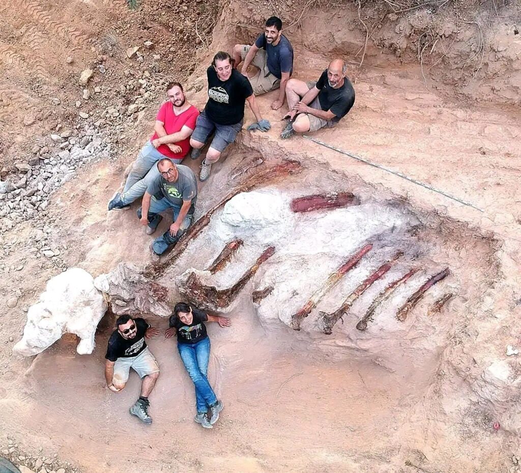 Pada bulan Agustus, ahli paleontologi mengumpulkan tulang rusuk sepanjang 10 kaki.  